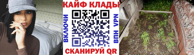 Купить наркотики сайты Кирс MEGA зеркало А ПВП АМФ Меф Марихуана