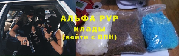 экстази Бородино
