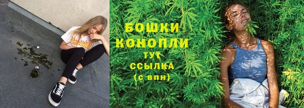 гашик Бронницы