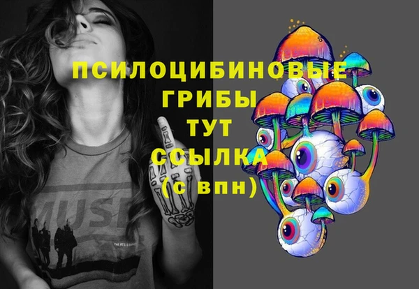 экстази Бородино