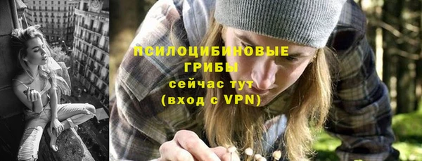 экстази Бородино