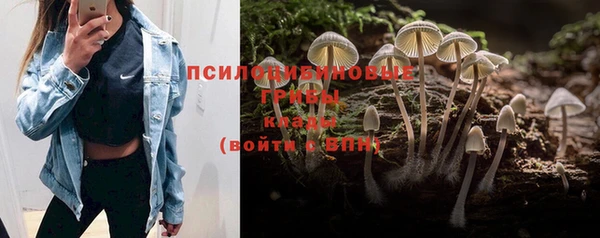 экстази Бородино