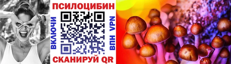 Псилоцибиновые грибы Psilocybe Кирс